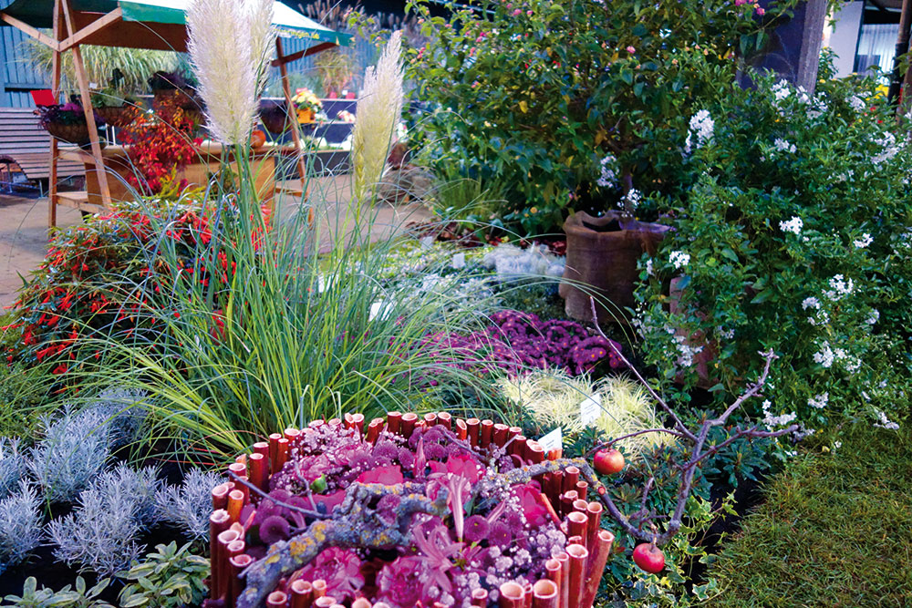 Buga Heilbronn 2019 Pflanzenbeiträge