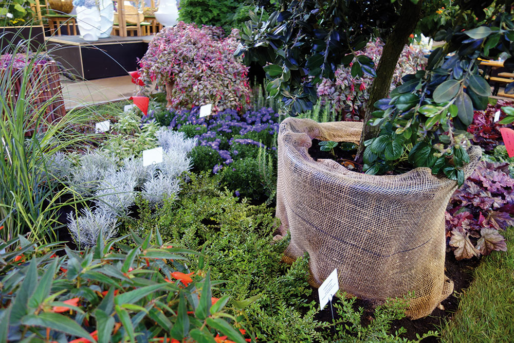 Buga Heilbronn 2019 Pflanzenbeiträge