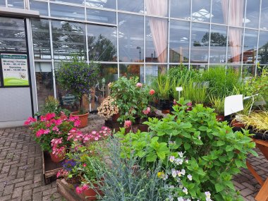 Sommer bei Gartenbau Seever