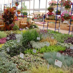 BUGA 2011 im Koblenz - Austellungsflächen Gärtnerei Seever