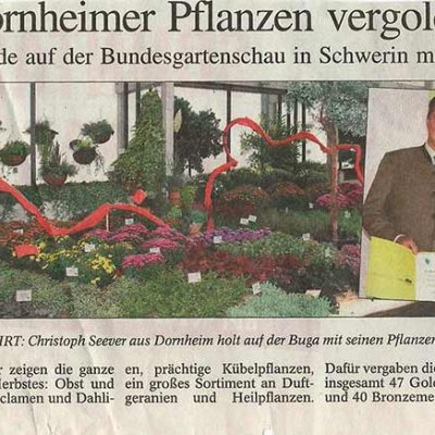 Thüringer Allgemeine Februar 2010 - Dornheimer Pflanzen vergoldet